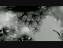 【オリジナル】無間の桜【鏡音レン】