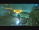 【実況】ゼルダの伝説BotW　ぶらり野生生活【34】