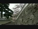 低山を歩こう 新龍アルプス 20170415 part1