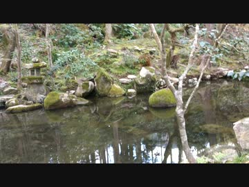 春の大原三千院