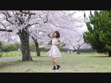 【桜ひらひら】 La,La,Love　You  踊ってみた 【コムギ（・×・）１５】