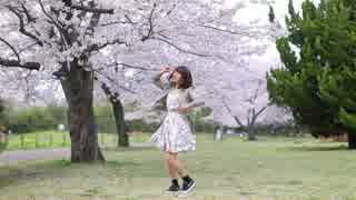 【桜ひらひら】 La,La,Love　You  踊ってみた 【コムギ（・×・）１５】