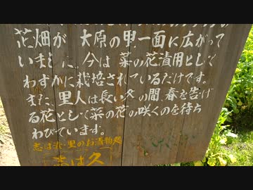 大原の菜の花畑と里山