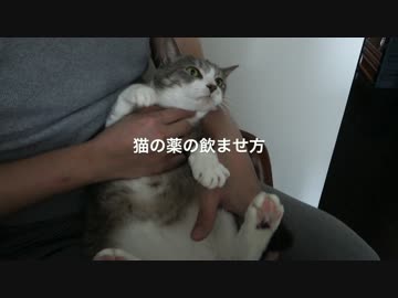 【モアクリ】 猫の薬の飲ませ方