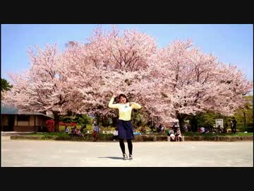 【一年越しに】恋空予報　踊ってみた【ぷるめん】
