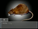 物語の謎に魅了されるRemember11を実況したい part66