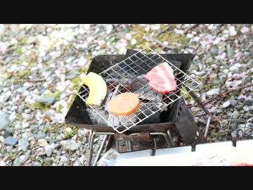 お花見デイキャンプ花吹雪のなかで焼肉