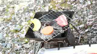 お花見デイキャンプ花吹雪のなかで焼肉