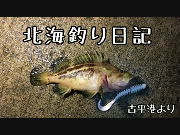 【積丹】　北海釣り日記　part12 【苫小牧】