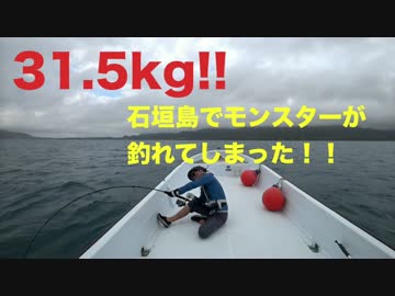 石垣島で31.5キログラムのとんでもない魚が釣れてしまった。