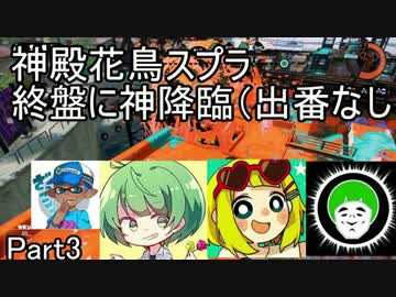 神殿花鳥でスプラトゥーン 煽りに倒され続ける男　Part3