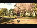 【花梨】桜ノ雨　アレンジver【踊ってみた】