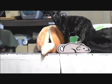 ハプニング またやっちゃった(´; ω ;｀)