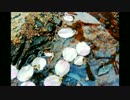 花曇り - vilagano