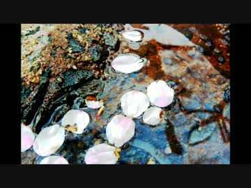 花曇り - vilagano