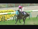 第19回 中山グランドジャンプ（J・GⅠ）