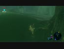 自由すぎるリンクの冒険【プレイ動画その３０】