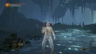 ダークソウル３　ＳＬ１未強化カンスト　闇喰らいのミディール　part2
