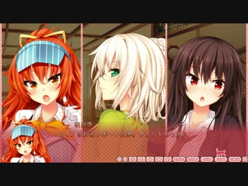 恋愛強者による“ノラと皇女と野良猫ハート”実況プレイ part8