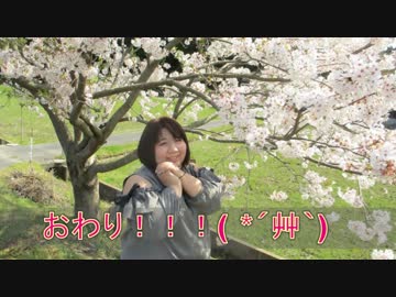 【個性の主張】お願いダーリン【で動いてみた】