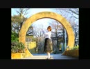【誕生日動画】未来景イノセンス　踊ってみた【美咲】
