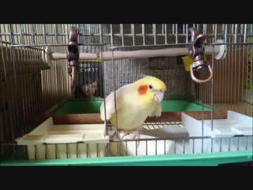 老いてなお盛ん