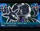 １０年ぶりにポケモンマスターにならなきゃ！㊵