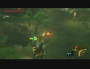 コッコ滑空で弓を撃って欲しい的なコメントがあったのでやってみた動画