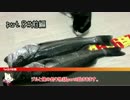 ジルと俺の釣り物語part.8前編#スズキ爆釣 シーズン突入？