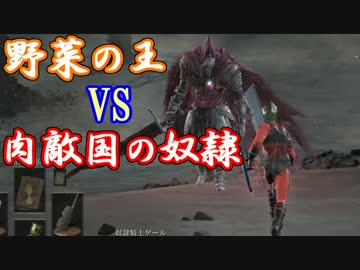 【ダークソウル３】野菜帝国の王と行くDLC２初見攻略【実況】part10