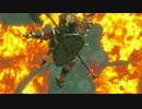 [初見実況]ひっそりまったりゼルダの伝説ブレスオブザワイルド　その14