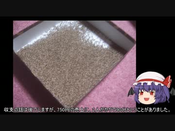 ゆっくり農民54エゴマを育ててみませんか？#2