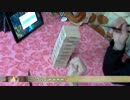 ジェンガをやってみた１　お箸でやってみた！