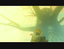 #067【ゼルダの伝説 BOW】ちょっと世界を駆けてくる【実況プレイ】