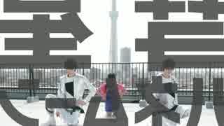 【反転／かなり拡大】彗星ハネムーン【りりり】【てぃ☆イン！】
