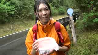 アウトドアをやろう！「山で野生のキクラゲ採って食べるぞ」 in 八丈島