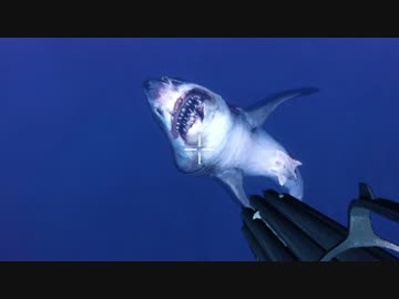 【Depth】異種総合格闘技 part1【ゆっくり実況プレイ】