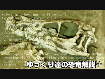 ゆっくり達の恐竜解説＋　第六回：イグアノドン