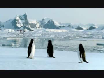 ついに大空を制したペパプ