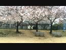 【MOZUがJKで】花降らし【アドリブで踊ってみた】