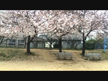 【MOZUがJKで】花降らし【アドリブで踊ってみた】