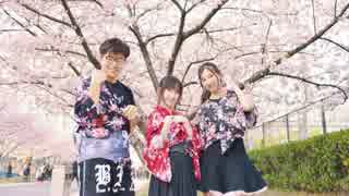 【ANC】極楽浄土【踊ってみた】