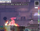 【RO】シャドウチェイサー幻の遺跡で色々遊んでみた