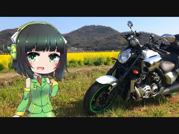 【京町セイカ車載】菜の花ツーリング【VMAX1700】