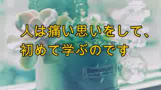 歯医者さんには積極的に通おう！