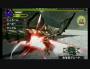 プロハン(笑)が華麗に狩猟りたーんず！ベリオロスたん編！！
