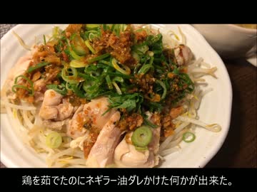 食べるネギラー油＆アレンジ【おまけ猫】