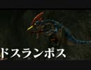 【実況】初心者のMHXX狩猟生活【8日目】