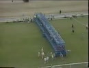1981年 京都新聞杯 サンエイソロンの鬼脚