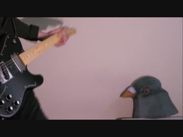【ハトが見てる】僕らはみんな意味不明【メガテラ・ゼロver弾いてみた】